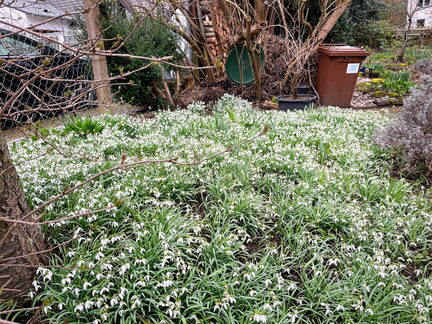 23-03-13 10-14-04 4816